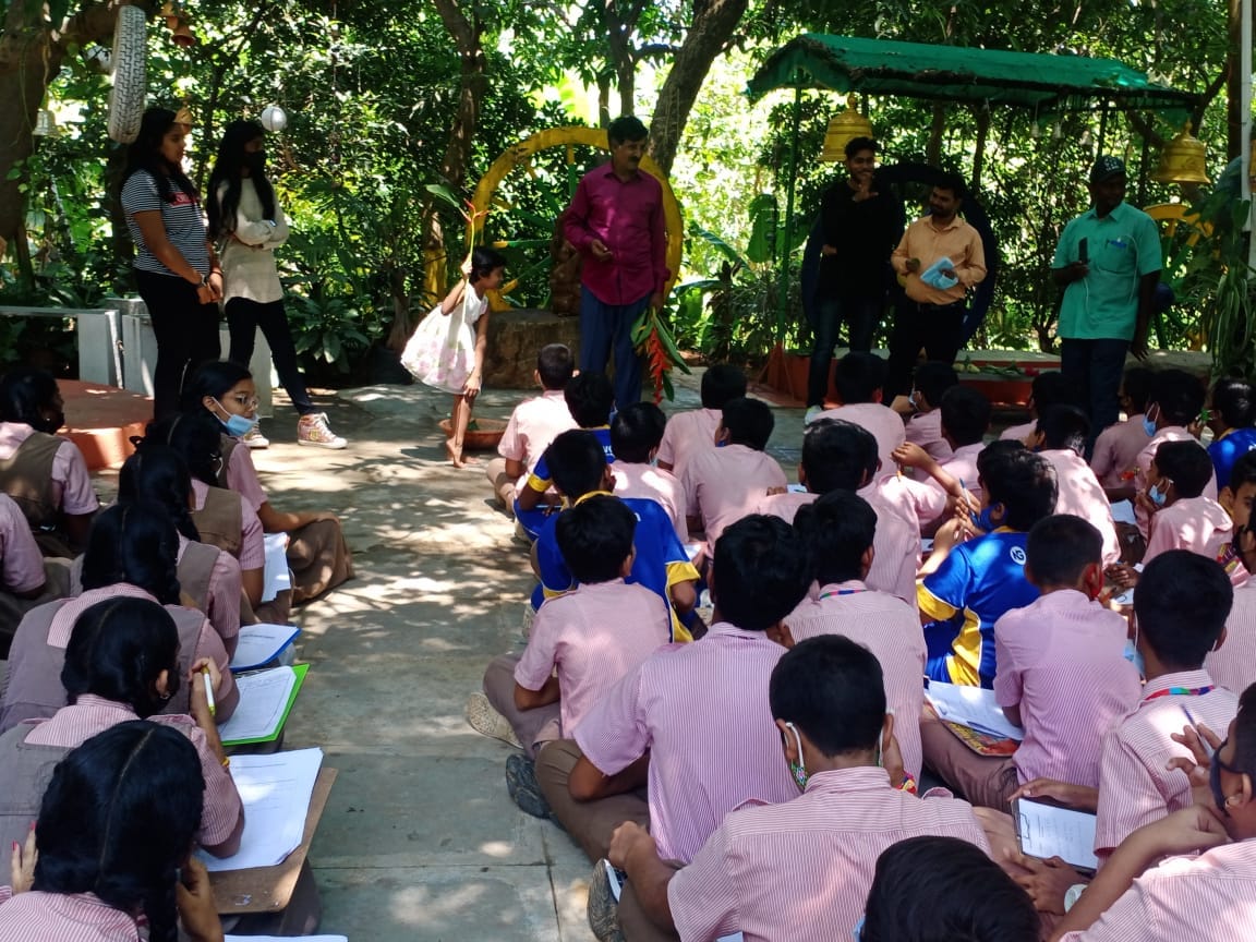 Field Trip organic form & Forest academy
