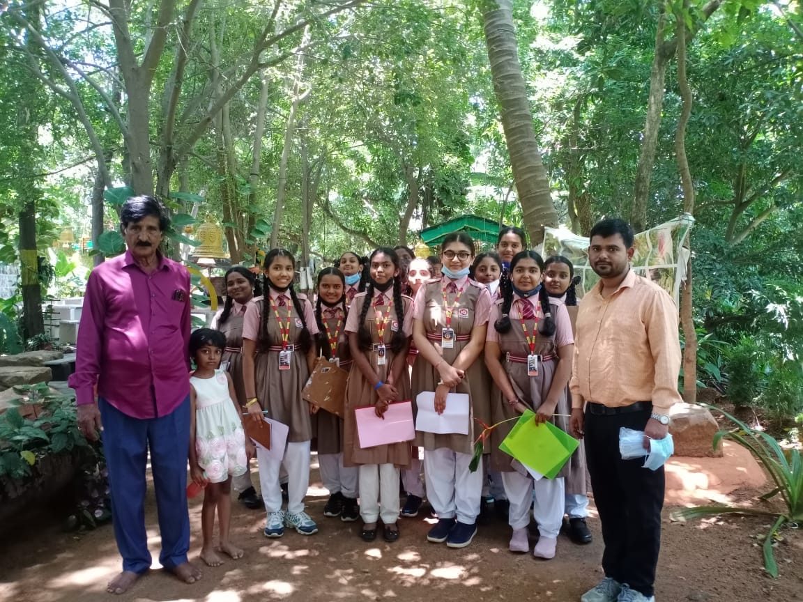 Field Trip organic form & Forest academy