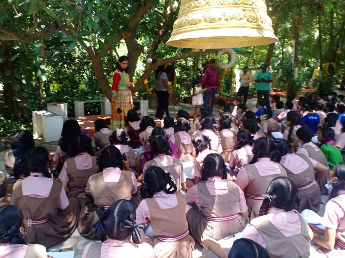 Field Trip organic form & Forest academy